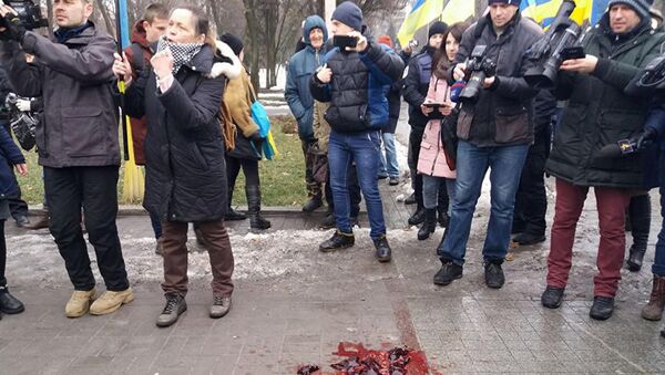 Радикалы забросали несвежим мясом участников акции, посвященной 75-летнему юбилею Сталинградской битвы в Запорожье. 2 февраля 2018