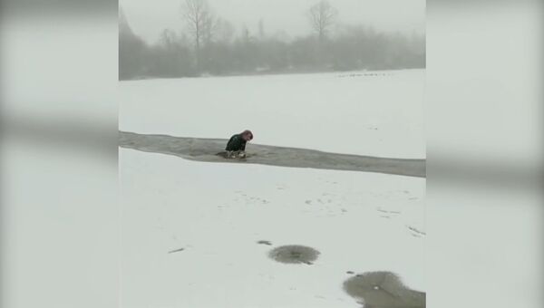 Девушка в Канаде спасла чужую собаку, провалившуюся под лед