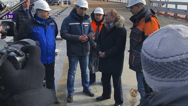 Кот Мостик сфотографировался с Путиным на Крымском мосту
