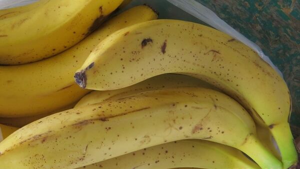 Бананы, которые украинцы пытались ввезти в Крым