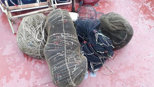 Ловушки, изъятые крымскими пограничниками у браконьера в Керчи