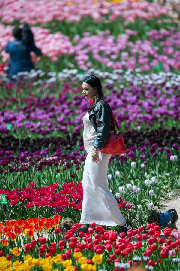 Парад тюльпанов в Никитском ботаническом саду