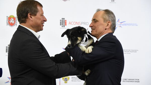 Подрядчик нового терминала подарил аэропорту Симферополя щенка Алису
