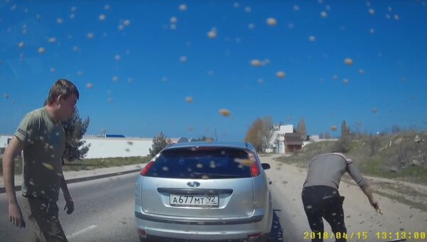 разборки между водителями автомобилей Renault и Ford в Севастополе