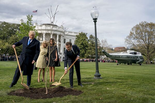 Макрон и Трамп посадили у Белого дома привезенный из Франции саженец дуба. 23 апреля 2018 года Макрон и Трамп посадили у Белого дома привезенный из Франции саженец дуба. 23 апреля 2018 года