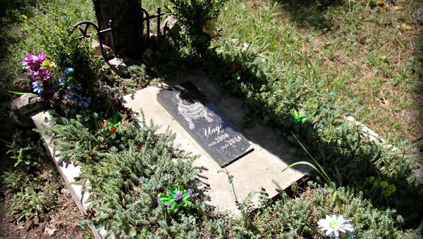 Надгробие на могиле питомца на кладбище домашних животных в Симферополе