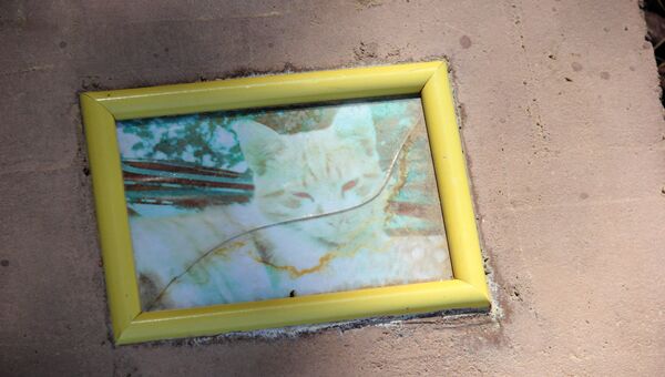 Фото кошки на могиле питомца на кладбище домашних животных в Симферополе