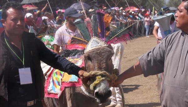Гонки на ослах и конкурс костюмов - как прошел ослиный фестиваль в Мексике