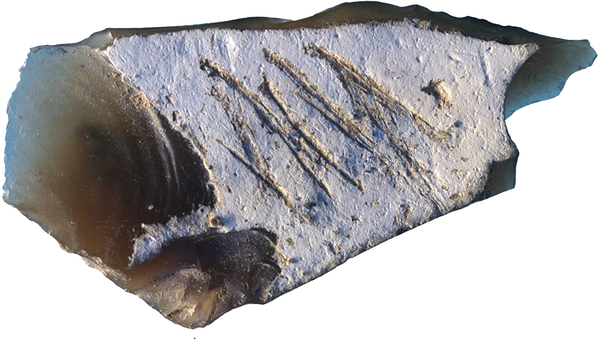 Орудие труда с подписью неандертальца, найденное в крымской пещере Киик-Коба