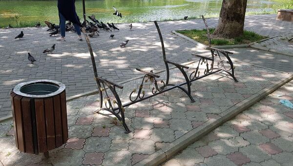 В парке имени Гагарина в Симферополе неизвестные сломали новые скамейки