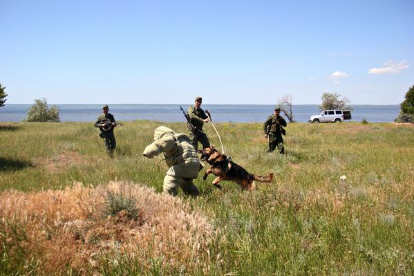 Тренировка по задержанию нарушителя крымскими пограничниками на заставе в северном Крыму