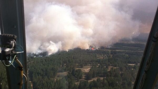 Тушение лесного пожара в Херсонской области