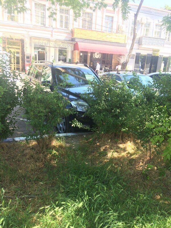 Ветка дерева упала на автомобиль в районе улицы Серова в Симферополе Ветка дерева упала на автомобиль в районе улицы Серова в Симферополе