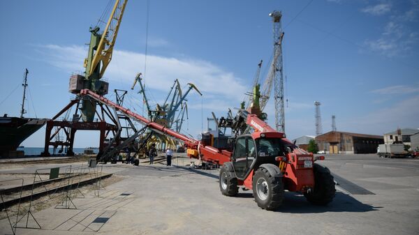 Погрузка зерна на корабль в порту Севастополя для отправки в Сирию