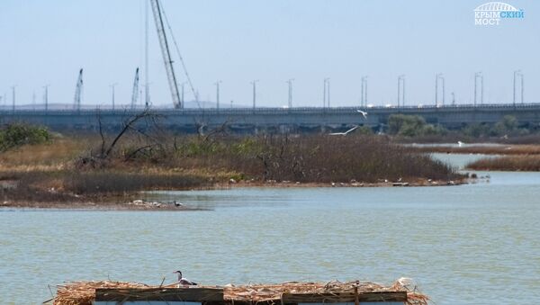 Плавучие дома для водоплавающих и околоводных птиц в рамках экопрограммы Крымского моста