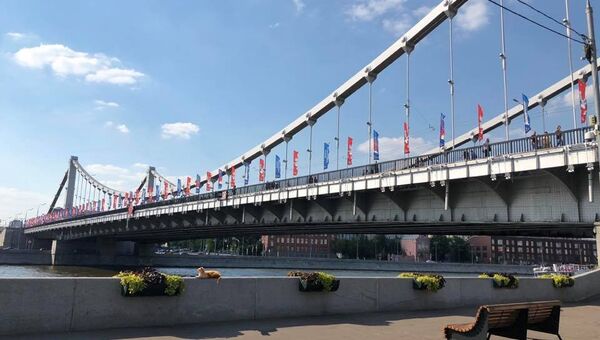 Кот Мостик на Крымском мосту в Москве