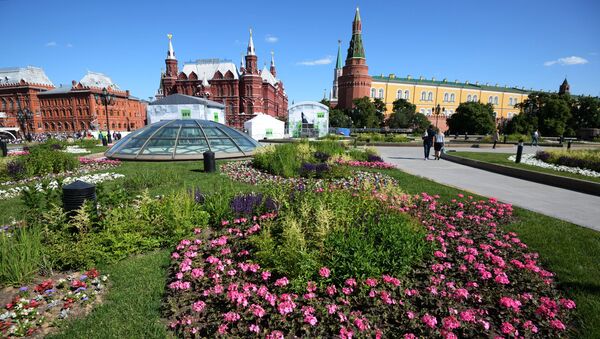 Цветник на Манежной площади перед Кремлем в Москве