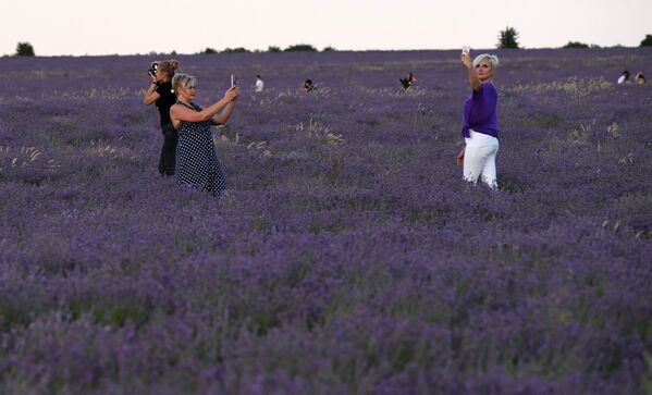 Девушки фотографируются в лавандовом поле в селе Тургеневка Бахчисарайского района