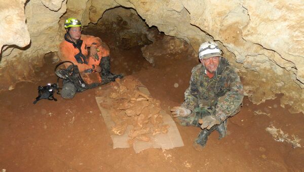 Ученые работают в пещере, найденной в районе пос. Зуя на месте строительства трассы Таврида