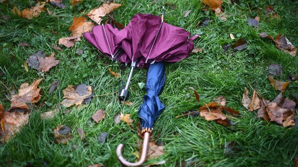 Зонтики на траве во время дождя. Архивное фото