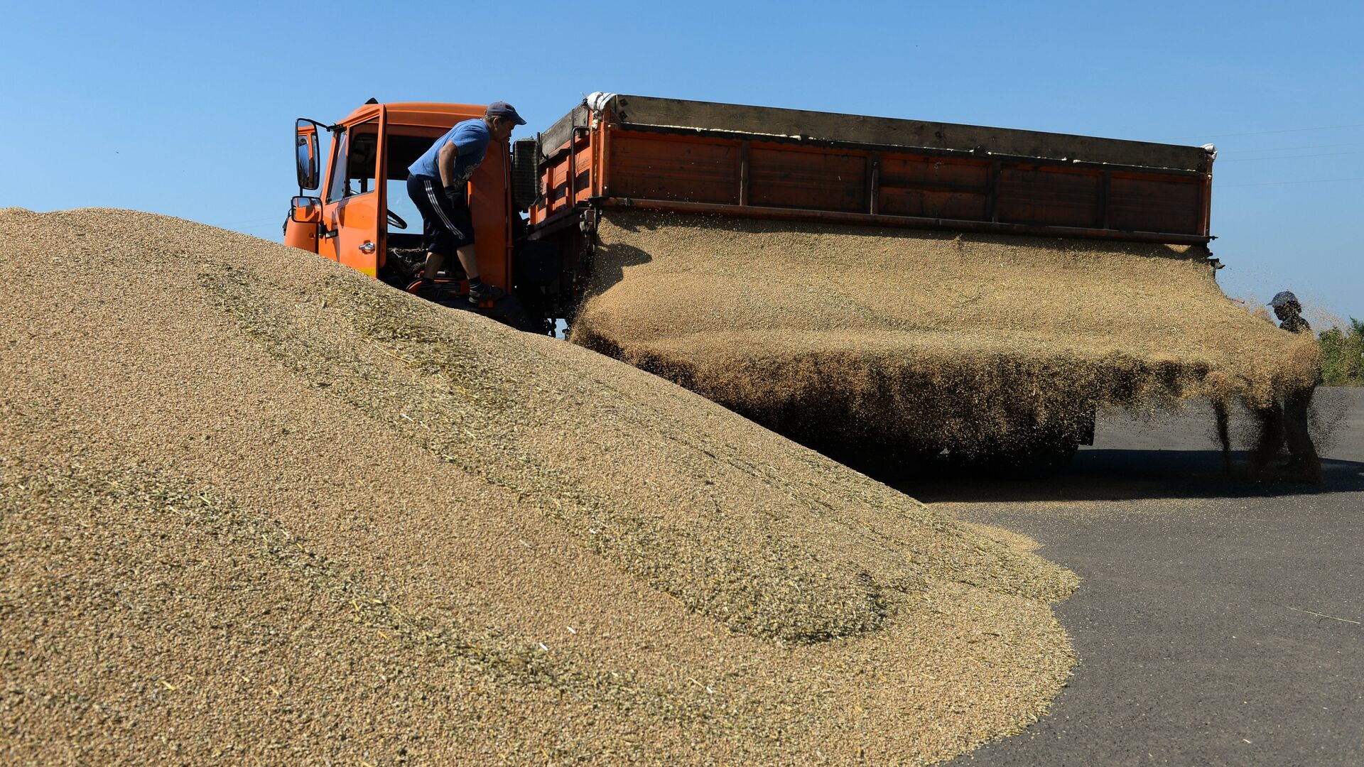 Выгрузка озимой пшеницы на зерновом току хозяйства ЗАО Политотдельское в Тогучинском районе Новосибирской области - РИА Новости, 1920, 12.05.2022