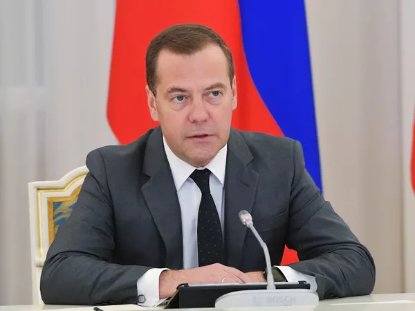 Премьер-министр РФ Д. Медведев. Архивное фото