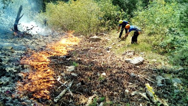 Ликвидация пожара в ущелье Уч-Кош возле Ялты
