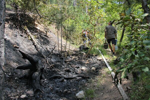 Добровольцы помогают тушить пожар в ущелье Уч-Кош возле Ялты