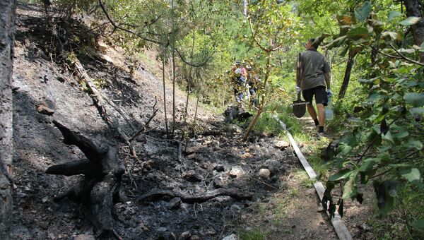 Добровольцы помогают тушить пожар в ущелье Уч-Кош возле Ялты