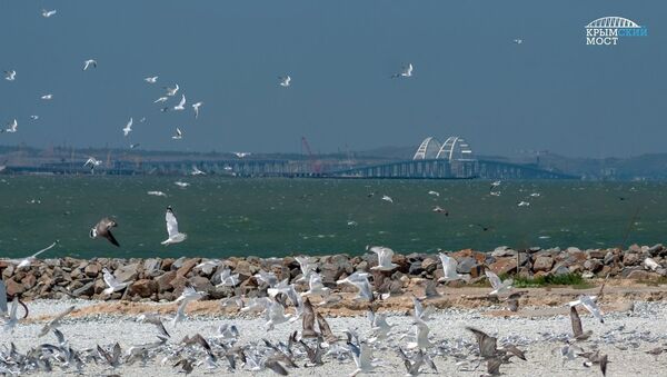 Видео вид на Крымский мост с высоты птичьего полета