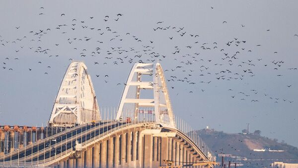 Птицы над Крымским мостом