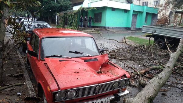 В Симферополе упавшее дерево смяло припаркованный рядом автомобиль ВАЗ-2103