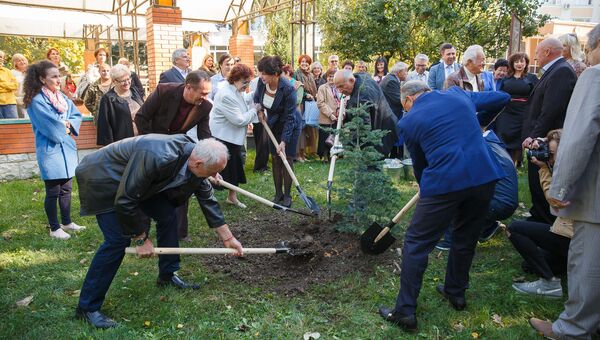 Ветераны труда КФУ высадили атласский кедр в честь 100-летнего юбилея вуза