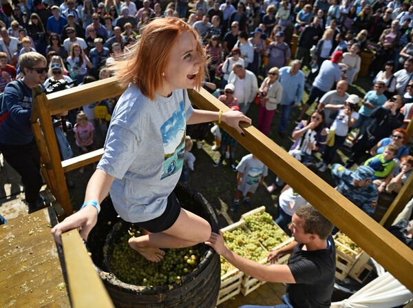 Фестиваль молодого вина «WineFest» в Балаклаве Фестиваль молодого вина «WineFest» в Балаклаве