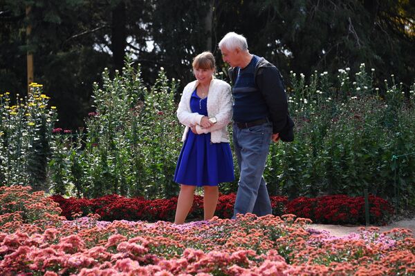 Выставка хризантем Осенний блюз в Никитском ботаническом саду