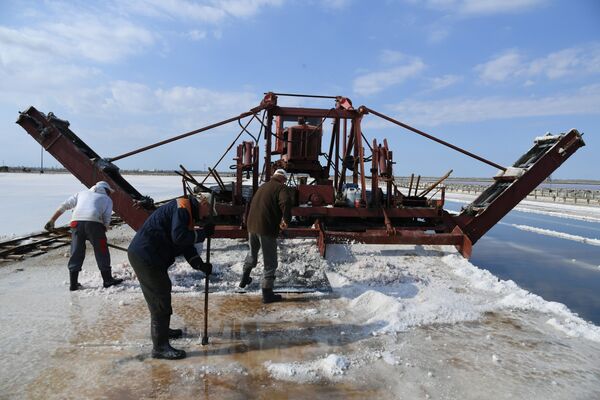 Уборка розовой соли в Крыму