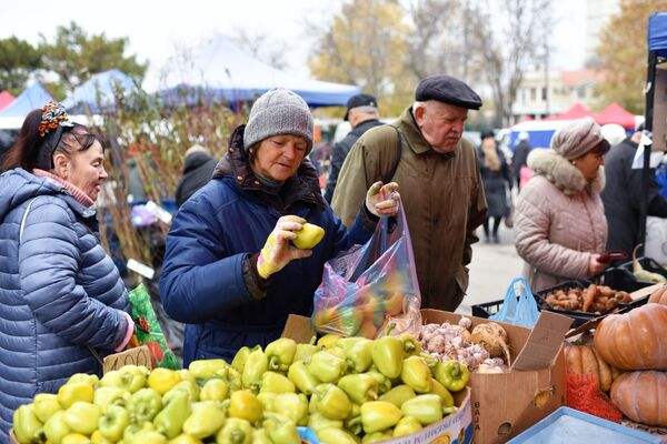 Сельскохозяйственная ярмарка в Симферополе Сельскохозяйственная ярмарка в Симферополе