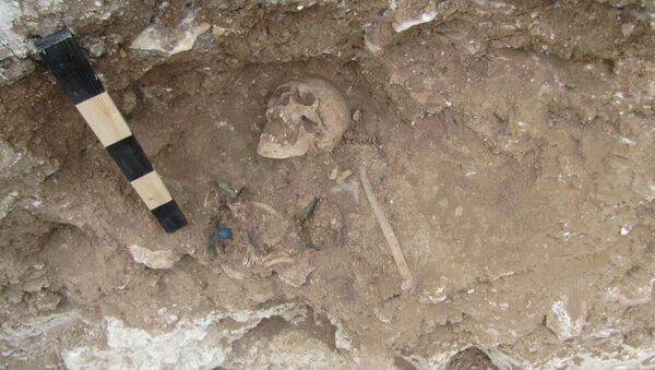 Вид одной из могил кладбища с останками, обнаруженными во время раскопок могильника в Севастополе
