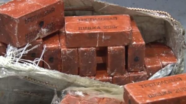 В Крыму выявлен тайник с боеприпасами и взрывчатыми веществами
