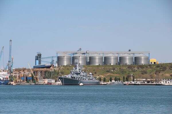 Зерновой терминал на берегу Доковой бухты