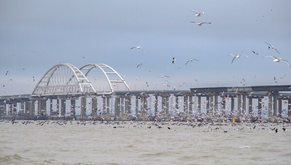 Экологи установили кормушки для птиц рядом с Крымским мостом