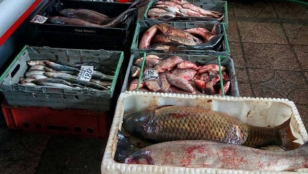 На рынке в Симферополе обнаружено более 5,5 тонн недоброкачественной рыбы