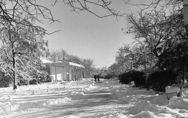 Заснеженный Симферополь. Архивное фото Заснеженный Симферополь. Архивное фото