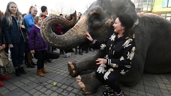 Министр культуры РК Арина Новосельская делает фото со слоном