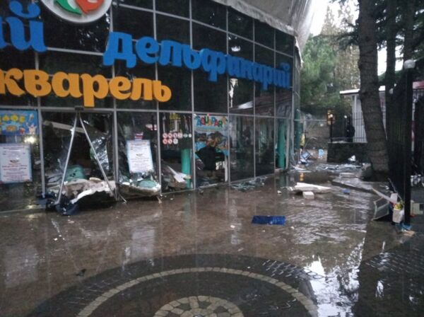 Последствия разгерметизации бассейна в дельфинарии в Алуште. 9 февраля 2019 Последствия разгерметизации бассейна в дельфинарии в Алуште. 9 февраля 2019
