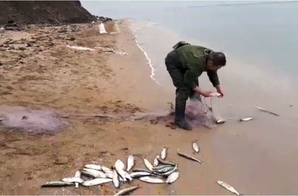 В районе Феодосии пограничники задержали рыбного браконьера В районе Феодосии пограничники задержали рыбного браконьера