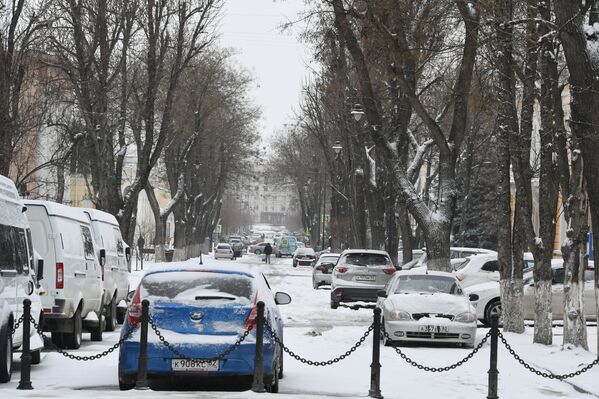 Снег в Симферополе. 23 февраля 2019
