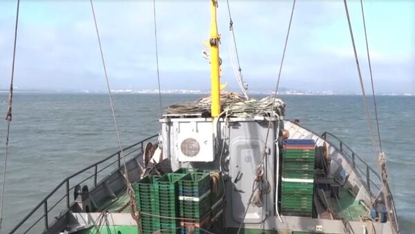 Выход в Азовское море рыболовного судна Выход в Азовское море рыболовного судна