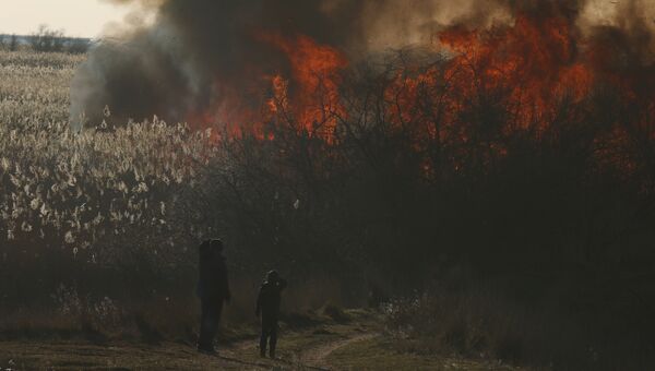 Пожар около поселка Ивановка Сакского района, 03.03.2019 г.