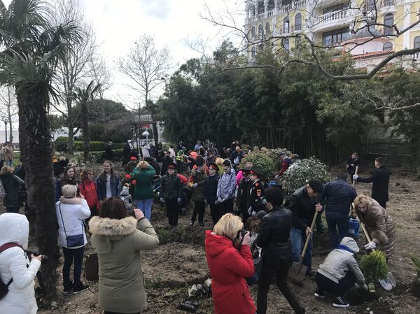  Высадка растений на набережной Ялты в рамках всекрымской акции В единстве - будущее